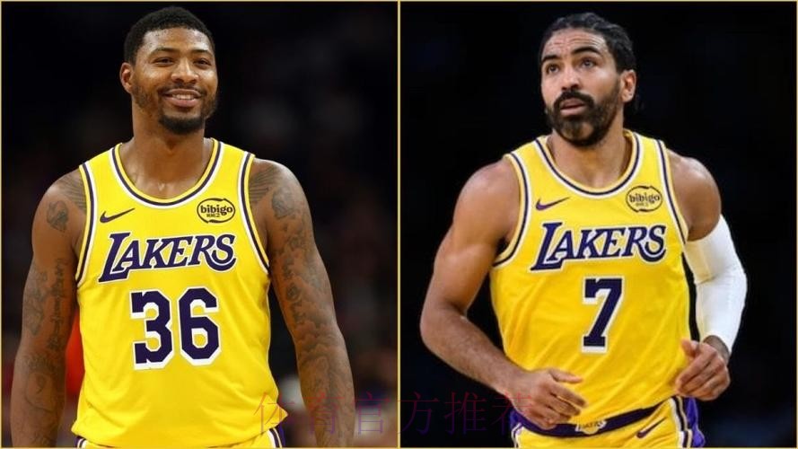 数据分析：从3D后卫到诈骗犯，被伤病影响的文森特真的只能换一包薯条？